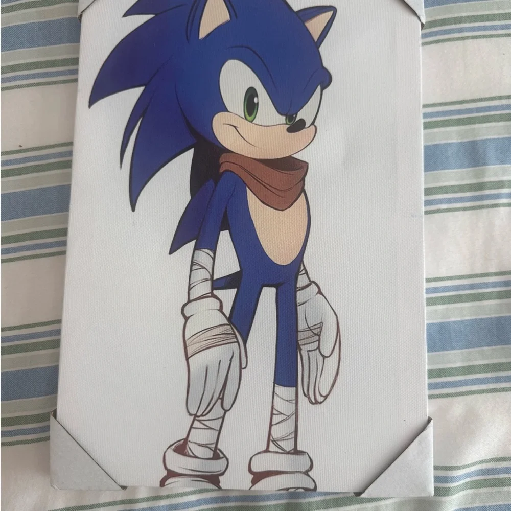 Sonic the Hedgehog Canvas Art